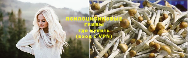 скорость Бугульма