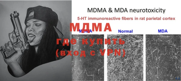 трава Верея