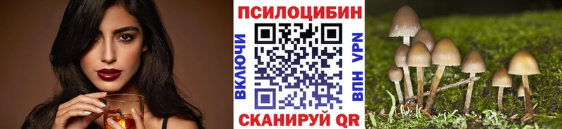 Псилоцибиновые грибы MAGIC MUSHROOMS Высоковск