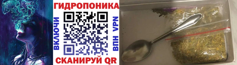дарнет шоп  MEGA ссылки  Бошки Шишки THC 21%  Высоковск 